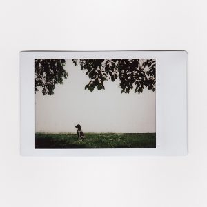 Alexandra Zedtwitz Instax Polaroid